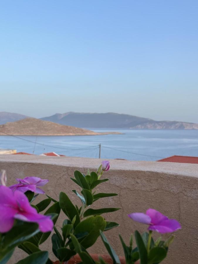 Marina Castellana Studios II Chalki Town Buitenkant foto