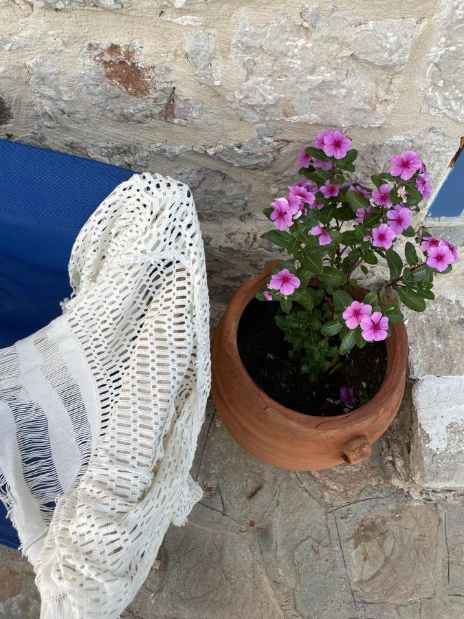 Marina Castellana Studios II Chalki Town Buitenkant foto